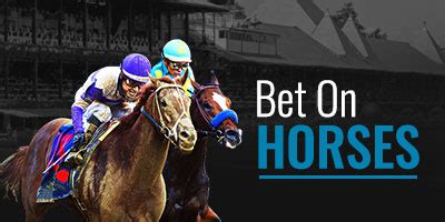 1bettorace.