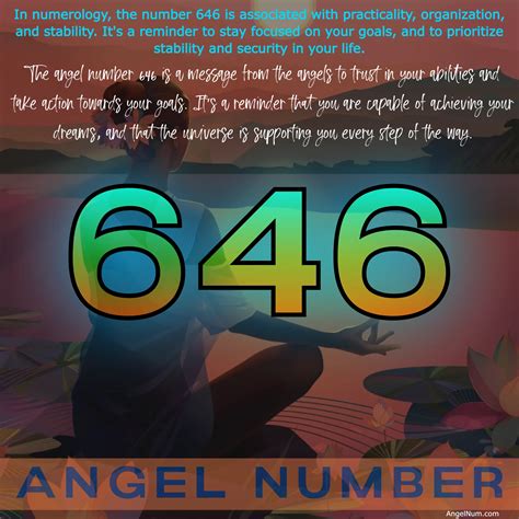 646com