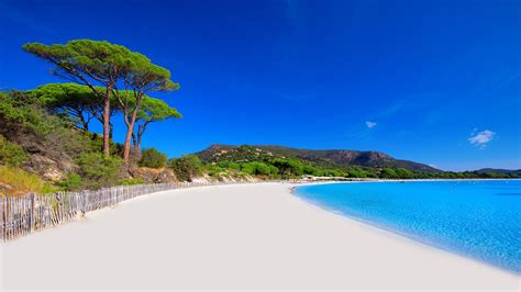 Corsica.