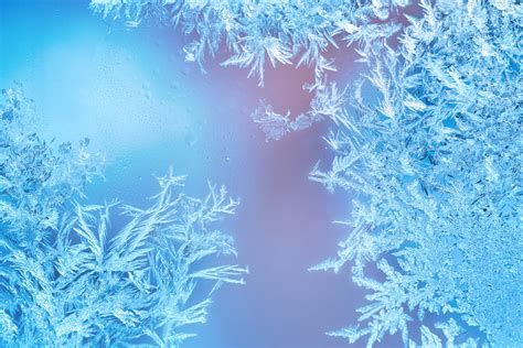 Freeze.