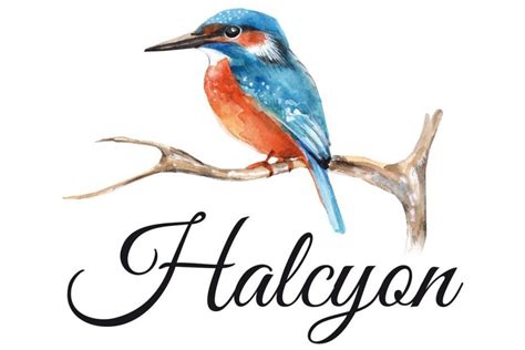 Halcyon.