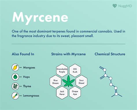 Myrcene.