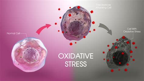Oxidative.