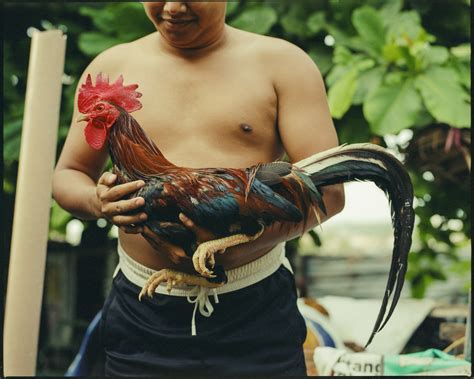 Panabong.