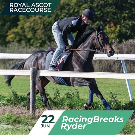 Racingbreaks.