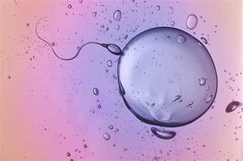 Sperm.