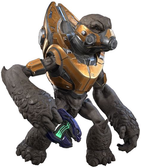 Unggoy.