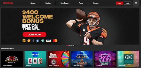 bodog