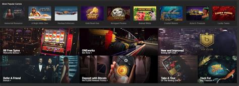 bodog88