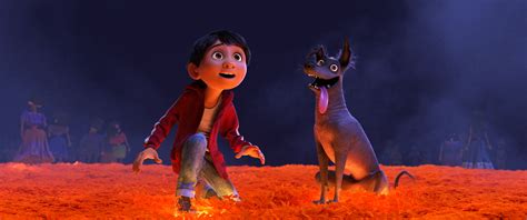 coco.comgg