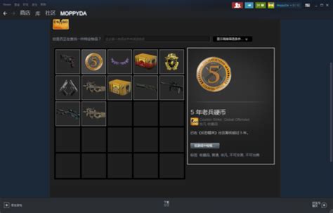 csgo5