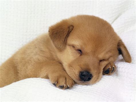 cute.