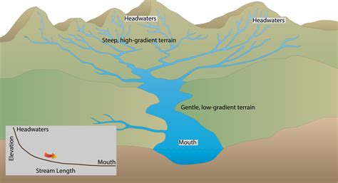 deltistreams.