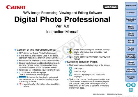 dppw4.18.10-installer
