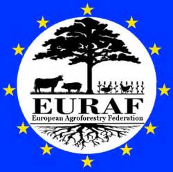 eurzaf