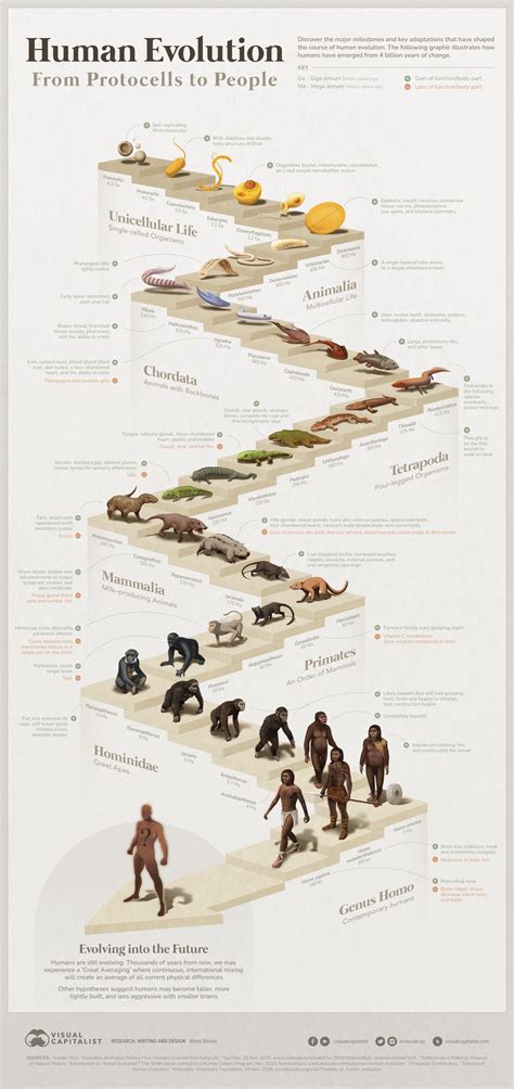 evolution.com.