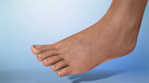 foot.