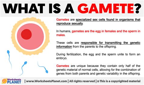 gametics.