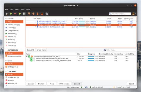 libtorrent.