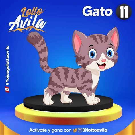 lottoavila