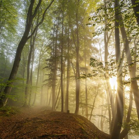 natur.
