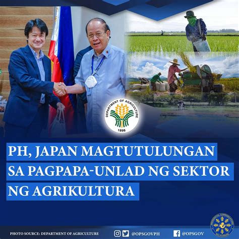 pagpapayabong