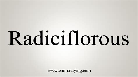 radiciflorous