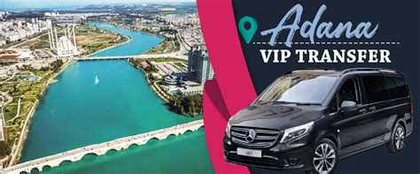 transfervip