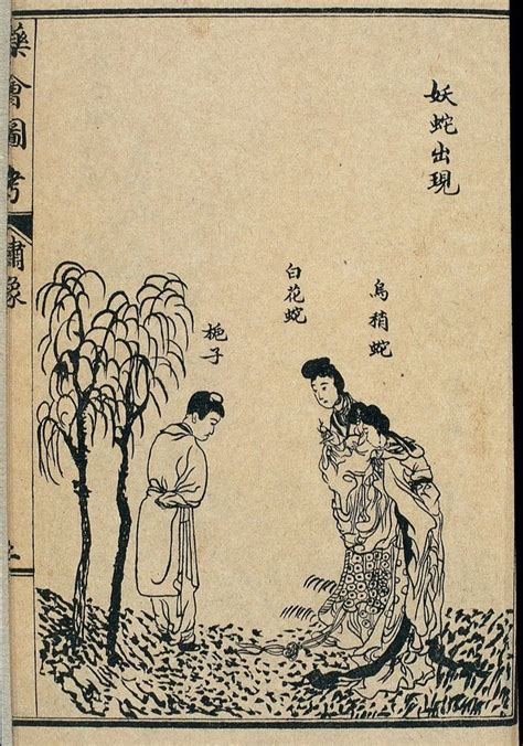 yaoshe.