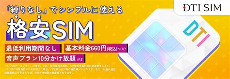 光回線、格安SIMサービスの「DTI」.