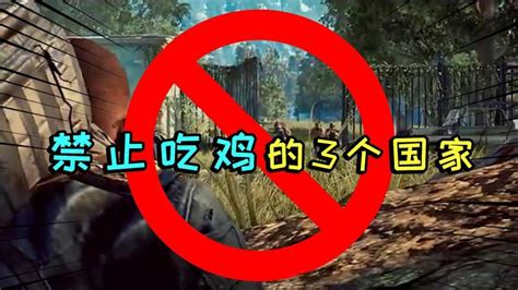 绝地求生哪个国家人多.